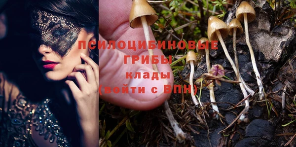 амф Покачи